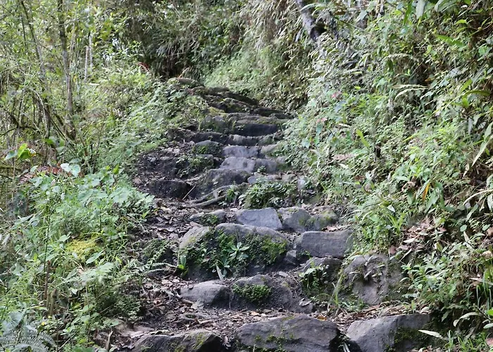 Llactapata Overlooking Machu Picchu - - Restaurant Lodge