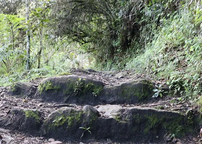 Llactapata Overlooking Machu Picchu - - Restaurant *
